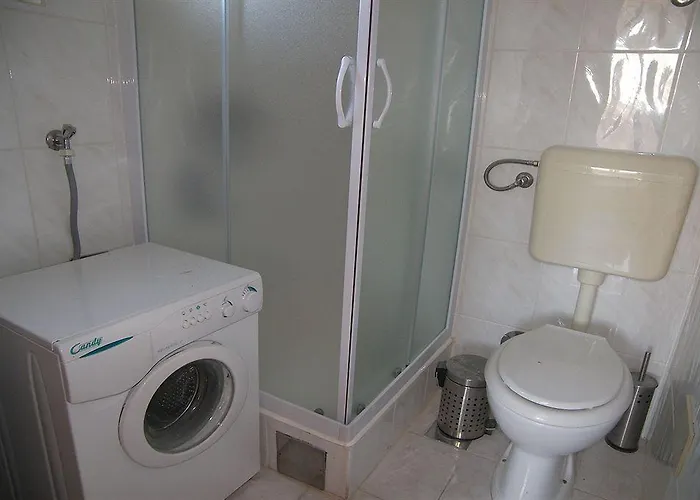 Bolotel Family & 볼