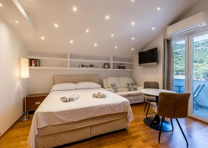 Bolotel Family & 볼