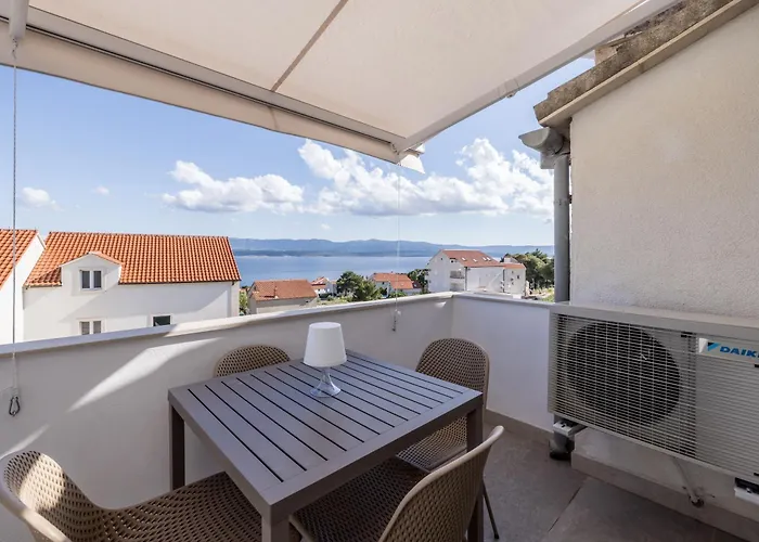 Bolotel Family & * 볼