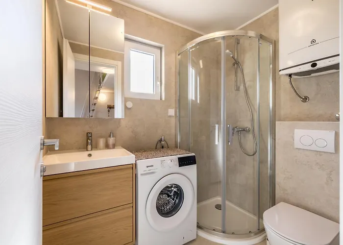 Bolotel Family & 볼