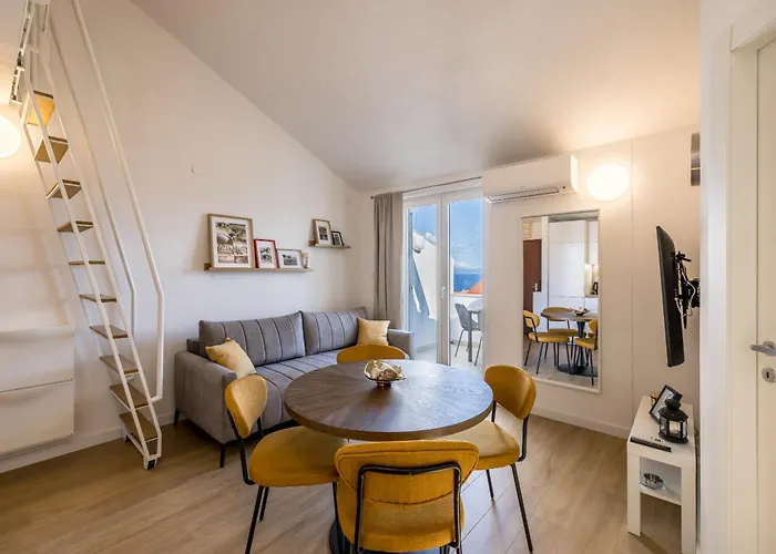 Bolotel Family & * 볼