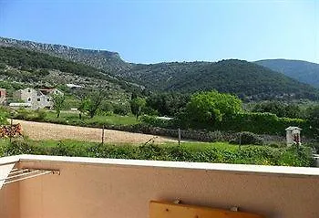 Bolotel Family & 볼