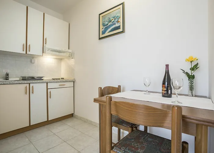 Bolotel Family & 볼