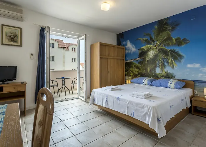 Bolotel Family & 볼