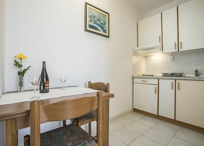 Bolotel Family & 볼